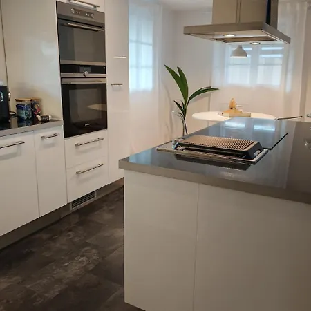 Large Oasis With Terrace, 15 Minutes From Bern