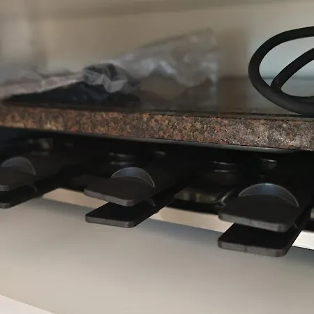 Large Oasis With Terrace, 15 Minutes From Bern