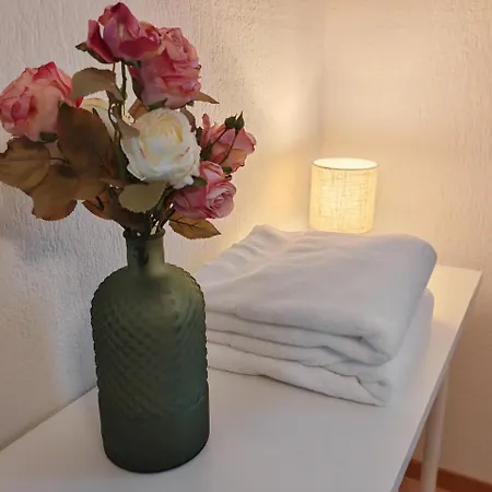 Large Oasis With Terrace, 15 Minutes From Bern アパート