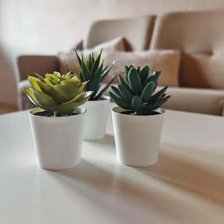 Large Oasis With Terrace, 15 Minutes From Bern アパート