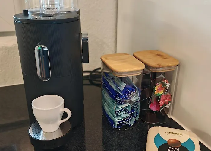 公寓 Large Oasis With Terrace, 15 Minutes From Bern Bariswil