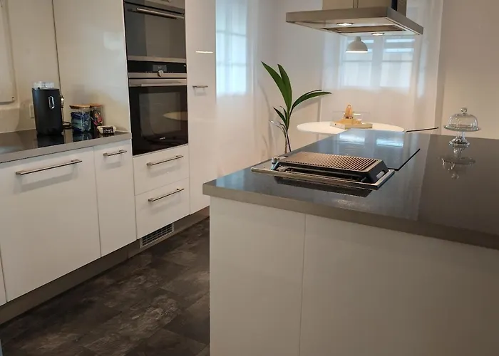 Large Oasis With Terrace, 15 Minutes From Bern