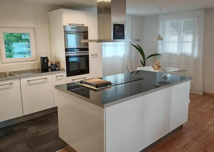 Large Oasis With Terrace, 15 Minutes From Bern 公寓