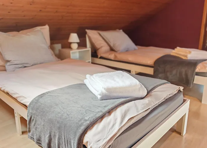 公寓 Large Oasis With Terrace, 15 Minutes From Bern Bariswil