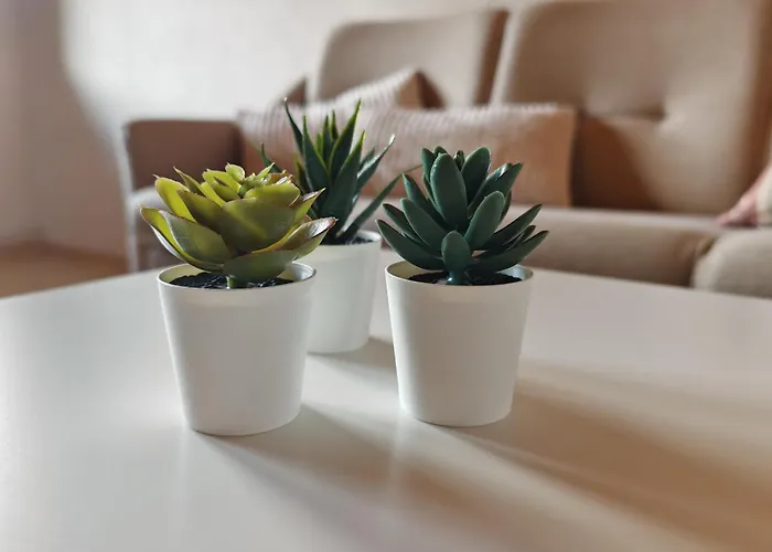 Large Oasis With Terrace, 15 Minutes From Bern 公寓